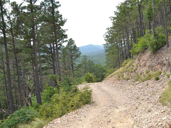 Wolf Pen Gap ATV Trails